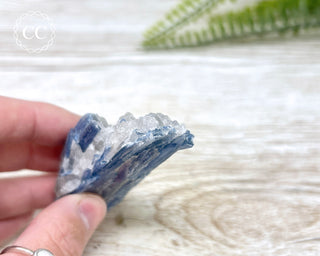 Blue Kyanite Crystal #11