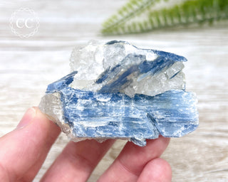 Blue Kyanite Crystal #12
