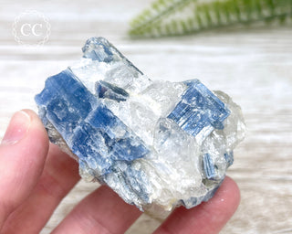 Blue Kyanite Crystal #12