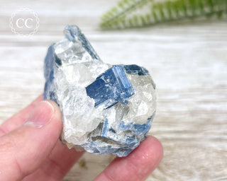 Blue Kyanite Crystal #12