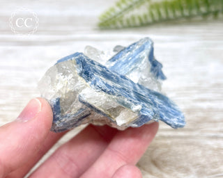 Blue Kyanite Crystal #12