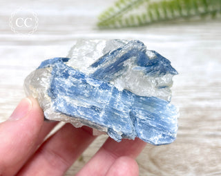 Blue Kyanite Crystal #12