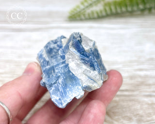 Blue Kyanite Crystal #12