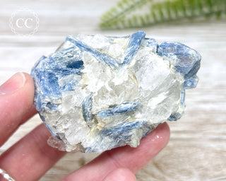 Blue Kyanite Crystal #12