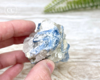 Blue Kyanite Crystal #12