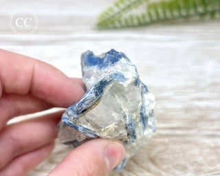 Blue Kyanite Crystal #12