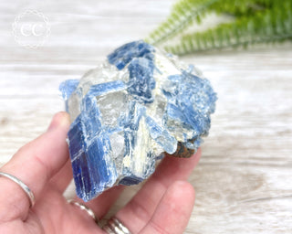 Blue Kyanite Crystal #1