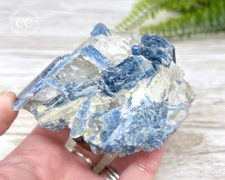 Blue Kyanite Crystal #1