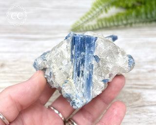 Blue Kyanite Crystal #1