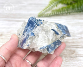 Blue Kyanite Crystal #1