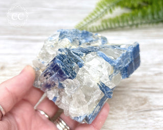 Blue Kyanite Crystal #1