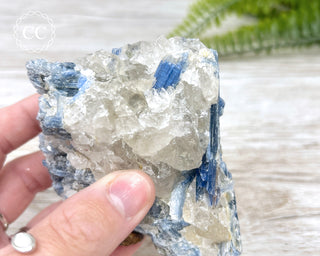 Blue Kyanite Crystal #1