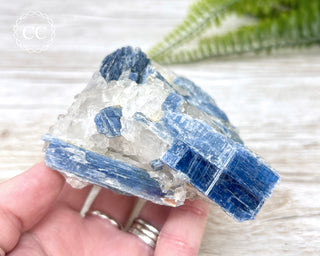 Blue Kyanite Crystal #1