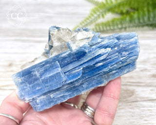 Blue Kyanite Crystal #2