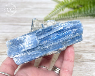 Blue Kyanite Crystal #2