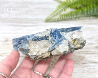 Blue Kyanite Crystal #2