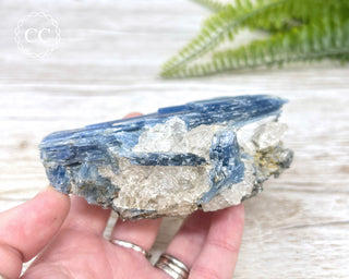 Blue Kyanite Crystal #2