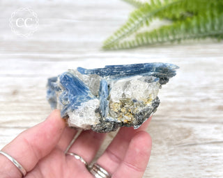 Blue Kyanite Crystal #2