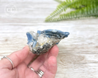 Blue Kyanite Crystal #2