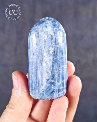 A hand holding a Blue Kyanite Freeform from India 
