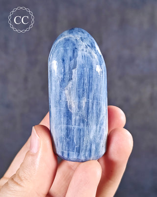 A hand holding a Blue Kyanite Freeform from India  