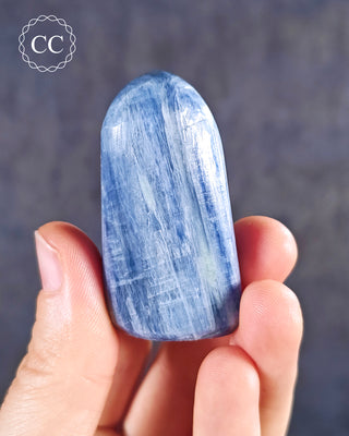 A hand holding a Blue Kyanite Freeform from India 