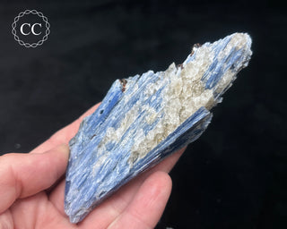 Blue Kyanite in Quartz #12