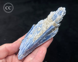 Blue Kyanite in Quartz #12
