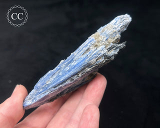 Blue Kyanite in Quartz #12