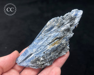 Blue Kyanite in Quartz #12