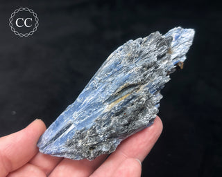 Blue Kyanite in Quartz #12