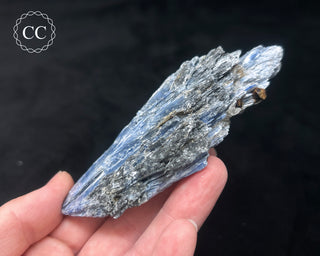 Blue Kyanite in Quartz #12