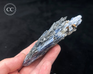 Blue Kyanite in Quartz #12