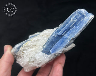 Blue Kyanite in Quartz #3
