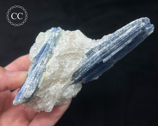 Blue Kyanite in Quartz #3