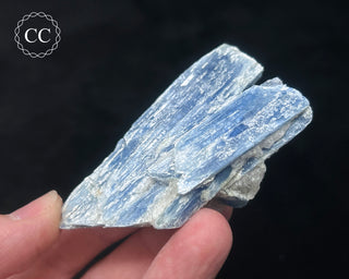 Blue Kyanite in Quartz #14