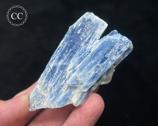 Blue Kyanite in Quartz #14