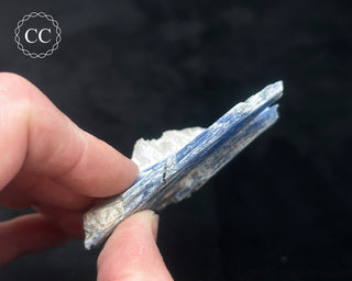 Blue Kyanite in Quartz #14