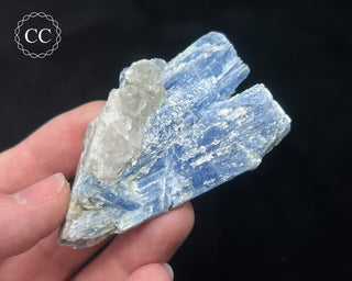 Blue Kyanite in Quartz #14