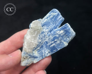 Blue Kyanite in Quartz #14