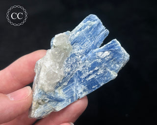 Blue Kyanite in Quartz #14