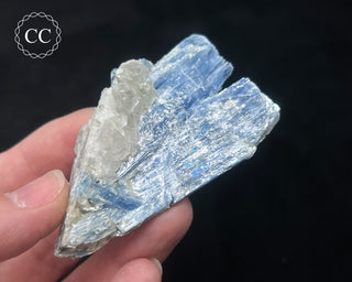 Blue Kyanite in Quartz #14