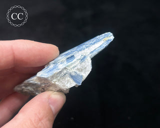Blue Kyanite in Quartz #14