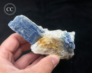 Blue Kyanite in Quartz #3