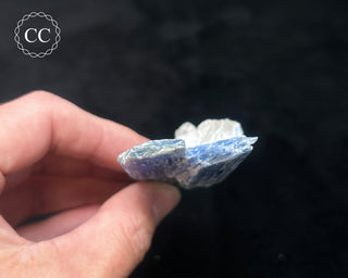 Blue Kyanite in Quartz #14