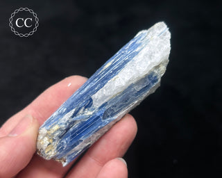 Blue Kyanite in Quartz #15