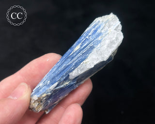 Blue Kyanite in Quartz #15