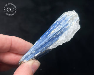 Blue Kyanite in Quartz #15