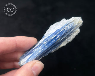 Blue Kyanite in Quartz #15