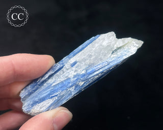 Blue Kyanite in Quartz #15